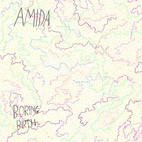 Amida - Boring Birth in der Gruppe CD / Rock bei Bengans Skivbutik AB (3979744)