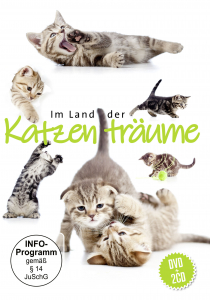 Relaxation And Chill - Im Land Der Katzenträume in der Gruppe CD / Pop-Rock bei Bengans Skivbutik AB (3979898)