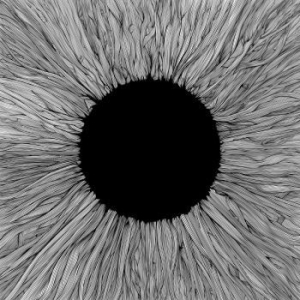Vola - Witness in der Gruppe CD / Rock bei Bengans Skivbutik AB (3979951)