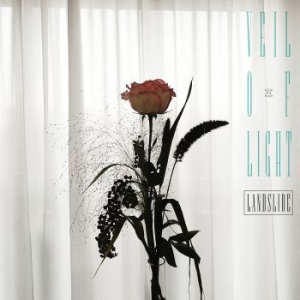 Veil Of Light - Landslide in der Gruppe VINYL / Rock bei Bengans Skivbutik AB (3980740)