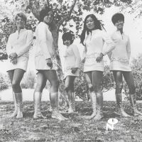 Female Species - Tale Of My Lost Love in der Gruppe VINYL / Pop-Rock bei Bengans Skivbutik AB (3981422)