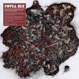 FOVEA HEX - SALT GARDEN - LANDSCAPED (LP+CD) in der Gruppe VINYL / Pop-Rock bei Bengans Skivbutik AB (3981600)