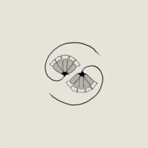 Godspeed You! Black Emperor - G_D's Pee At State's End! in der Gruppe Minishops / Godspeed You bei Bengans Skivbutik AB (3981825)