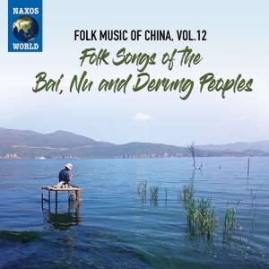 Various - Folk Music Of China, Vol. 12: Folk in der Gruppe CD / Elektroniskt,World Music bei Bengans Skivbutik AB (3983138)