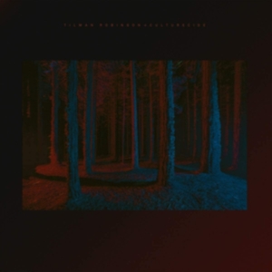 Robinson Tilman - Culturecide in der Gruppe Övrigt /  bei Bengans Skivbutik AB (3983352)