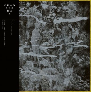 Chaos Echoes - Ecstasy With The Nonexistents in der Gruppe VINYL / Hårdrock/ Heavy metal bei Bengans Skivbutik AB (3983379)
