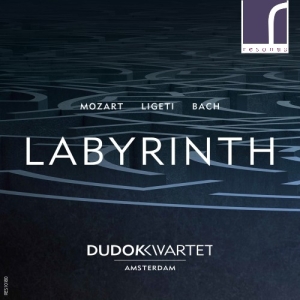 Mozart Wolfgang Amadeus Ligeti G - Labyrinth in der Gruppe Externt_Lager / Naxoslager bei Bengans Skivbutik AB (3984120)