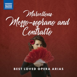 Various - Marvellous Mezzo-Soprano And Contra in der Gruppe Externt_Lager / Naxoslager bei Bengans Skivbutik AB (3985310)