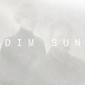 Dim Sun - Meteor in der Gruppe VINYL / Pop bei Bengans Skivbutik AB (3985820)