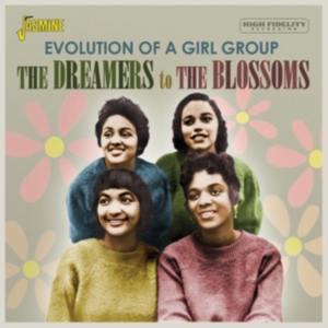 Various Artists - Dreamers To The Blossoms - Evolutio in der Gruppe Övrigt /  bei Bengans Skivbutik AB (3986998)