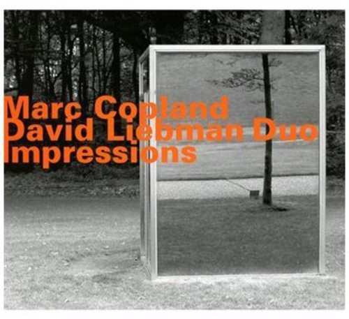 Marc Copland / David Liebman - Impressions in der Gruppe Övrigt / bei Bengans Skivbutik AB (3987068)