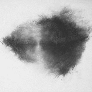 Mirah - Advisory Committee (Blood Red Vinyl in der Gruppe VINYL / Pop-Rock bei Bengans Skivbutik AB (3987455)