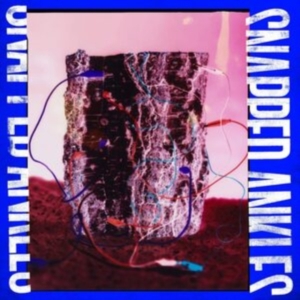 Snapped Ankles - Forest Of Your Problems (The Busine in der Gruppe VINYL bei Bengans Skivbutik AB (3987468)