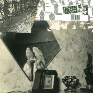 Swell Maps - Mayday Signals in der Gruppe VINYL / Rock bei Bengans Skivbutik AB (3987496)