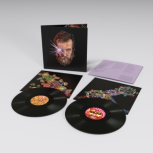 Grant John - Boy From Michigan in der Gruppe VINYL bei Bengans Skivbutik AB (3987502)
