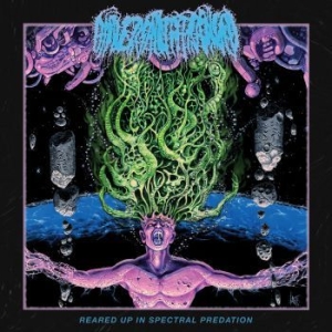 Universally Estranged - Reared Up In Spectral Predation in der Gruppe CD / Hårdrock bei Bengans Skivbutik AB (3987567)