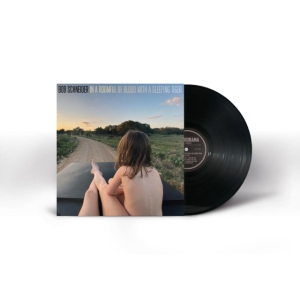 Schneider Bob - In A Roomful Of Blood With A Sleepi in der Gruppe VINYL / Pop-Rock bei Bengans Skivbutik AB (3988693)