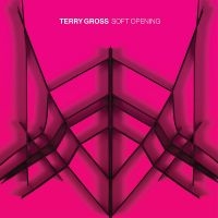 Gross Terry - Soft Opening (Translucent Blue Viny in der Gruppe VINYL / Pop-Rock bei Bengans Skivbutik AB (3988698)