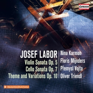 Josef Labor - Violin Sonata, Op. 5, Cello Sonata, in der Gruppe Externt_Lager / Naxoslager bei Bengans Skivbutik AB (3988823)