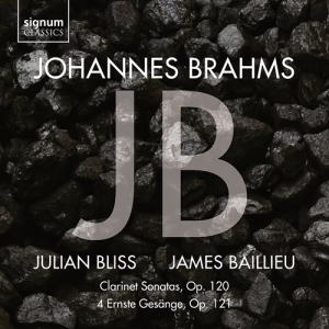 Johannes Brahms - Clarinet Sonatas Op. 120 & 4 Ernste in der Gruppe CD / Klassiskt bei Bengans Skivbutik AB (3988827)