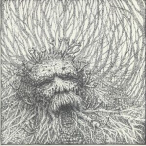 Nemorous - Nemorous (Vinyl Lp + Cd) in der Gruppe VINYL / Hårdrock bei Bengans Skivbutik AB (3989955)
