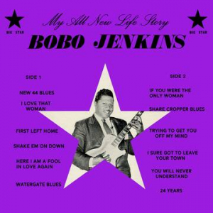 Bobo Jenkins - My All New Life Story in der Gruppe UNSERE TIPPS / Record Store Day / RSD-21 bei Bengans Skivbutik AB (3990128)