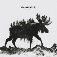 Bizarrekult - Vi Overlevde in der Gruppe VINYL / Hårdrock bei Bengans Skivbutik AB (3990280)