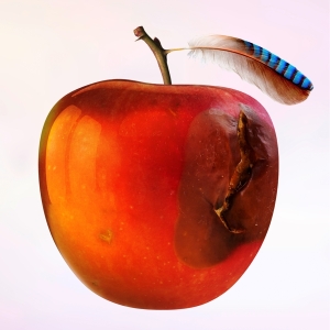 International Music - Ententraum in der Gruppe VINYL / Pop-Rock bei Bengans Skivbutik AB (3990445)