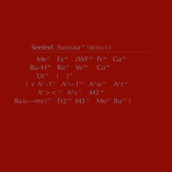 Seefeel - Succour (Redux) in der Gruppe VINYL / Bestseller bei Bengans Skivbutik AB (3990569)