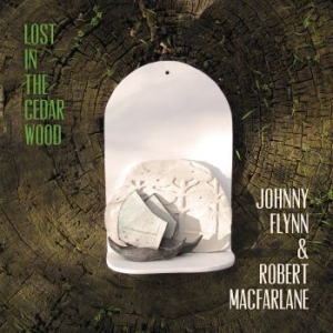 Johnny Flynn - Lost In The Cedar Wood in der Gruppe CD bei Bengans Skivbutik AB (3992485)