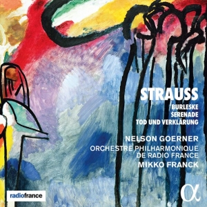 Strauss Richard - Orchestral Works in der Gruppe Externt_Lager / Naxoslager bei Bengans Skivbutik AB (3992579)