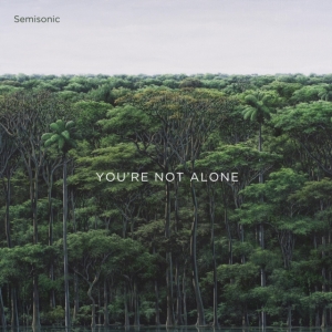 Semisonic - You're Not Alone in der Gruppe Labels /  bei Bengans Skivbutik AB (3992885)
