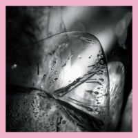Loscil - Clara in der Gruppe CD bei Bengans Skivbutik AB (3993755)