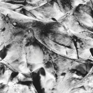 Tietchens Asmus/Miki Yui - Neues Boot in der Gruppe Övrigt /  bei Bengans Skivbutik AB (3994381)