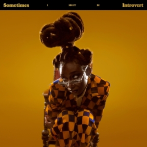 Little Simz - Sometimes I Might Be Introvert (Clear Vi in der Gruppe UNSERE TIPPS / Tipps von Bengans Mitarbeitern / Elis recommends bei Bengans Skivbutik AB (3997813)