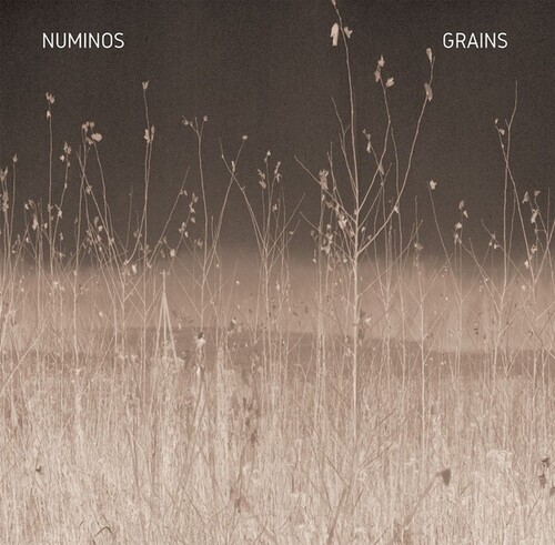 Numinos - Grains in der Gruppe VINYL / Rock bei Bengans Skivbutik AB (3997835)