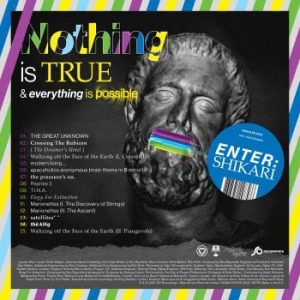 Enter Shikari - Nothing Is True & Everything Is Pos in der Gruppe VINYL / Rock bei Bengans Skivbutik AB (3997852)