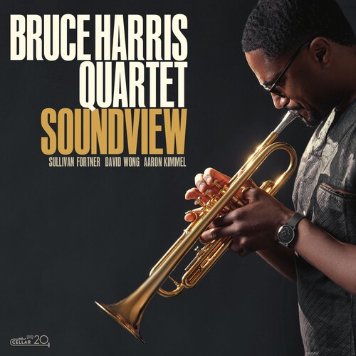 Bruce Harris Quartet - Soundview in der Gruppe Övrigt /  bei Bengans Skivbutik AB (3999520)