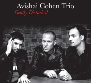 Avishai Cohen Trio - Gently Disturbed in der Gruppe CD / Jazz bei Bengans Skivbutik AB (4000034)