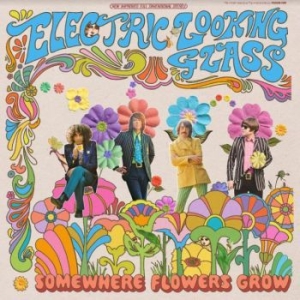 Electric Looking Glass - Somewhere Flowers Grow in der Gruppe VINYL / Pop-Rock bei Bengans Skivbutik AB (4000865)