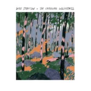 Stratton Will - Changing Wilderness in der Gruppe CD / Pop-Rock bei Bengans Skivbutik AB (4000947)