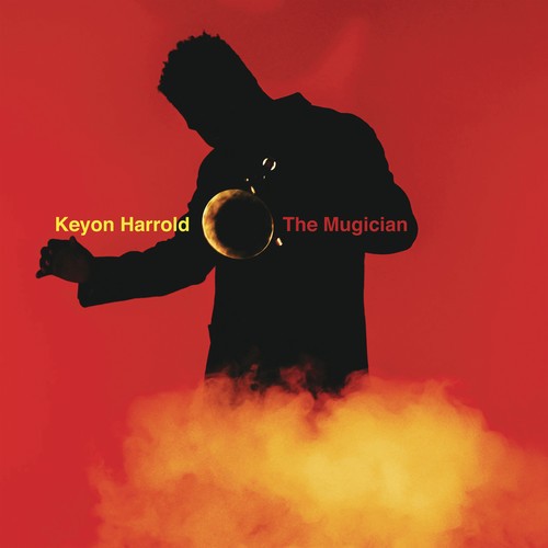 Harrold Keyon - The Mugician in der Gruppe VINYL / Pop bei Bengans Skivbutik AB (4001627)