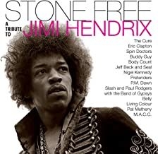 Various artists - Stone free-Tribute to Jimi Hendrix (clea in der Gruppe VINYL / Pop-Rock bei Bengans Skivbutik AB (4004878)