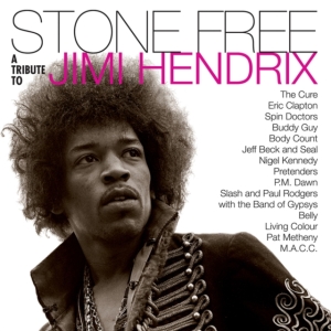 Various artists - Stone free-Tribute to Jimi Hendrix (Black & Clear Vinyl) Rocktober in der Gruppe UNSERE TIPPS / Rocktober bei Bengans Skivbutik AB (4004878)