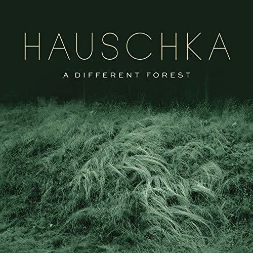 Hauschka - A Different Forest in der Gruppe CD / Pop bei Bengans Skivbutik AB (4007058)