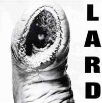 Lard - Power Of Lard in der Gruppe VINYL / Pop-Rock bei Bengans Skivbutik AB (4007993)