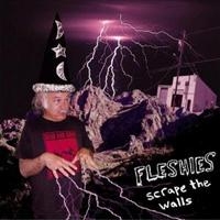 Fleshies - Scrape The Walls in der Gruppe VINYL / Pop-Rock bei Bengans Skivbutik AB (4008017)
