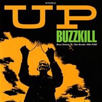Buzzkill - Up in der Gruppe CD / Pop-Rock bei Bengans Skivbutik AB (4008116)