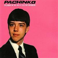 Pachinko - Vol 2 - Splendor In The Ass in der Gruppe CD / Pop-Rock bei Bengans Skivbutik AB (4008136)