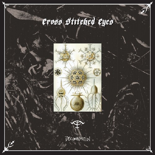 Cross Stitched Eyes - Decomposition in der Gruppe CD / Pop bei Bengans Skivbutik AB (4008258)